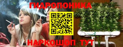 стаф Котовск