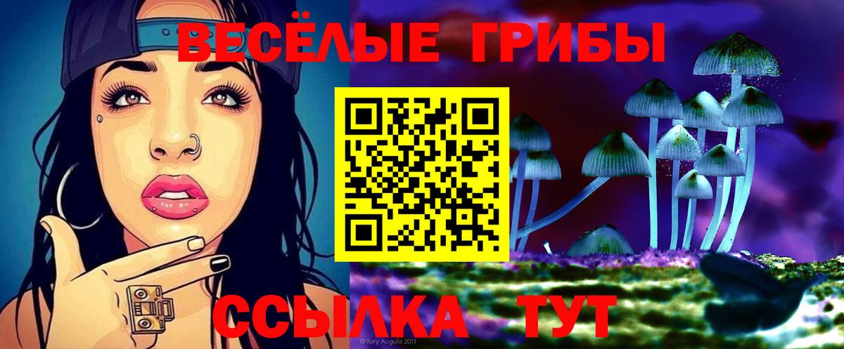 Елец  Псилоцибиновые грибы MAGIC MUSHROOMS  Галлюциногенные грибы Psilocybe  Вход с VPN 