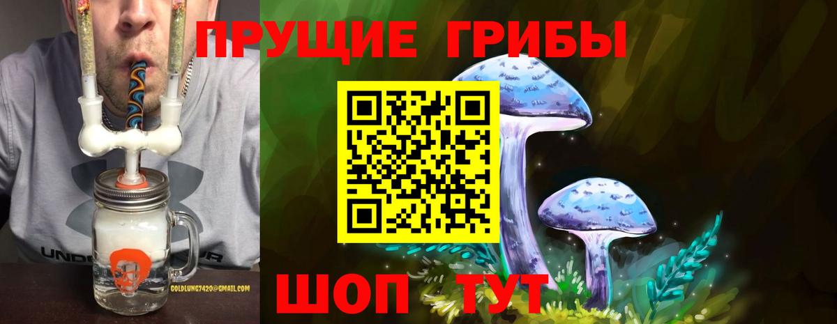 Галлюциногенные грибы прущие грибы Елец